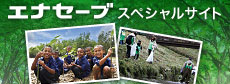 「エナセーブ」スペシャルサイト