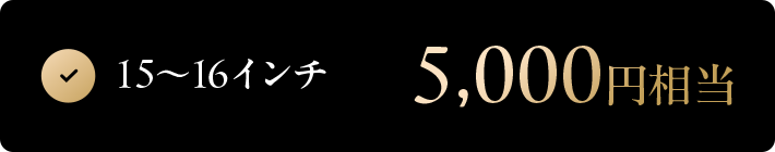 15~16インチ 5,000円相当