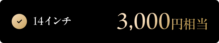 14インチ 3,000円相当